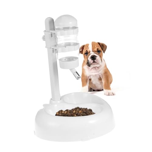 Dispensador automático de agua para mascotas blanco