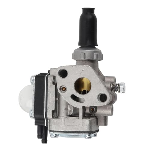 Carburateur de remplacement pour tondeuse pour un jardin impeccable au printemps