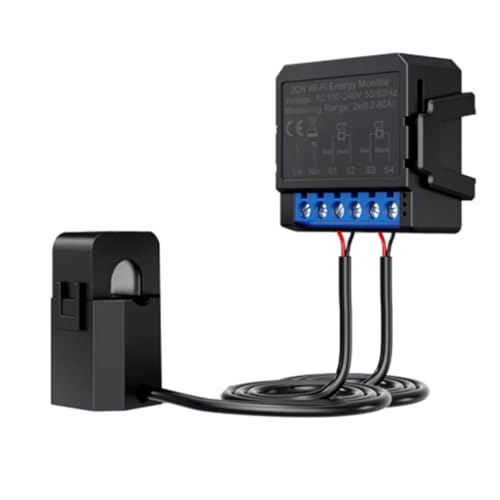 Wouueso Tuya - Contador de energía inteligente con WiFi de 2 marchas, monitor de potencia KWh