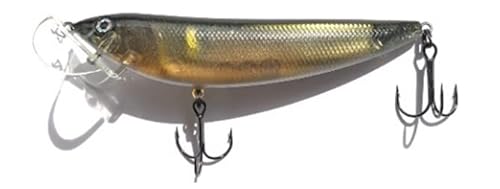 イマカツ LOT BT100 3Dリアリズム #901 3Dリアリズム落鮎