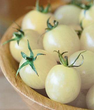 Oakwood Farms® Tomato Imported Vegetable Seeds | white cerry tomato seeds For Kitchen Indoor/Outdoor home And Gardening vegitable seeds Pack Of 40 seeds (B0CMXQ2GDP) Amazon Price History, Amazon Price Tracker