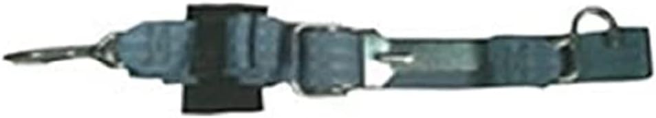 EPCO BTD 6 Gunwale 2" x 16' Marine Tie Down