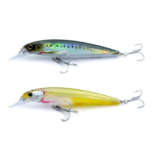 LOGOFUN 2Pcs Fishing Lures Top Water and Deep Sea Bass Fishing Lure for Freshwater and Saltwater Swim Bait 3D Holographic Laser Floating Lure Angling Fishing Gear, 4.7 Inch, 0.8 oz, SW-120F