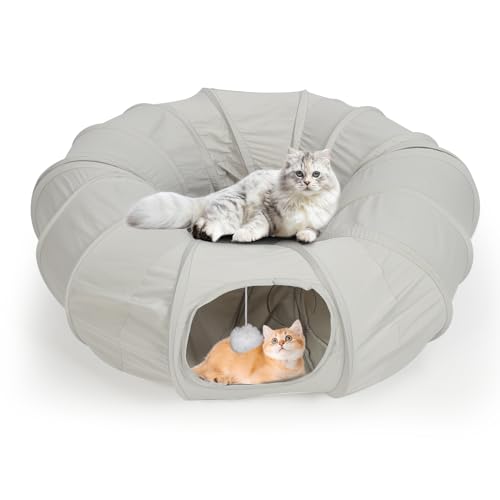 Lp܂肽ݎLglxbh _炩A̔Lh[icvCgl 􂦂T[NNbVt O\ȊۂybgXy[XJvZgC qL q ETMp̃nMO{[t