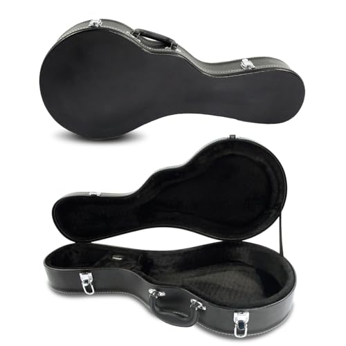 1987❣️ ヴィンテージ　マンドリンケース Amazon.com: Roaring Iron Mandolin Hard Case, A-Style