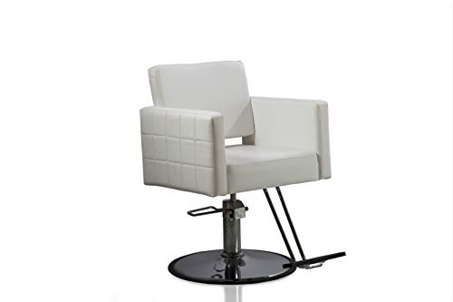 Funnylife White Round Base Salon Beauty Chair for Hair Stylist Barber Chair Hydraulic Modern Shampoo Chairs