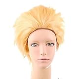 『Vision』男子高校生の日常 田畑 ヨシタケ 風 クリスマス ハロウィン イベント仮装★ コスプレウィッグ +ウイッグネット ☆R401