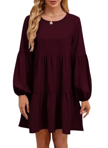QACOHU Falll Dresses for Women 2025 Crew Neck Long Lantern Sleeve Casual Loose Flowy Swing Shift Dress