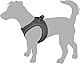 Hundegeschirr - hundegeschirr kleine Hunde - XXS - Flamingo Harness Step&Go Bento Aubergine
