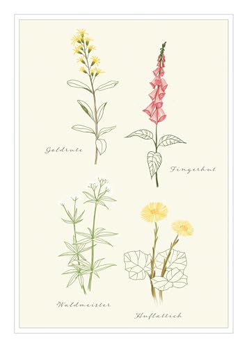 natur-verliebt: Postkarten-Set (10er)