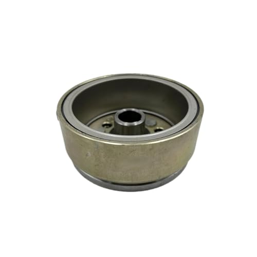 Rotor de volant moteur JS250 quad ATV 250 pièce allumage