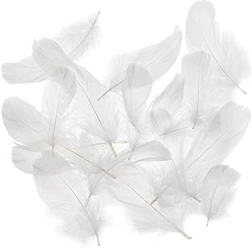 Wendergo 700 Pieces White Feathers for Crafting Natural Goose Feathers Fluffy & Soft Craft Feathers for DIY Dream Catcher Angel Wings Home Wedding Party Festival Decoration, 8-12 cm