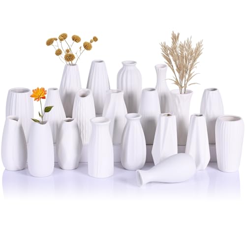 LCCCK Lot de 20 petits blancs pour centre de table, céramiques à peindre, mini bohème en vrac, décoration d'herbe de la pampa, vases japonais