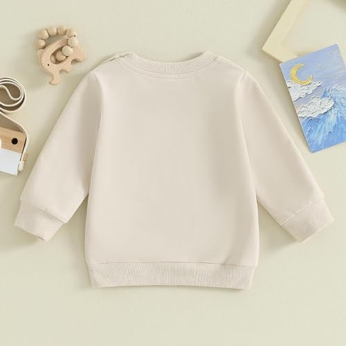 Image of Baby Boy Girl Pumpkin Sweatshirt Tops Toddler Halloween Outfit Long Sleeve Crewneck Pullover Sweater Shirt Fall Clothes