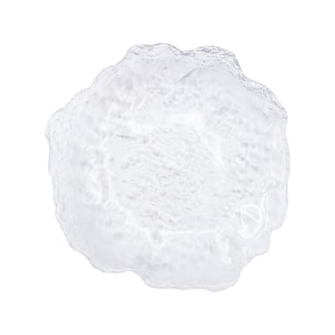 Assiette à Steak PRETYZOOM Cover