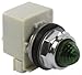SCHNEIDER ELECTRIC 9001KP8G31 Pilot Light 277-Volt Ac 30Mm Type K Plus Options Electrical Box