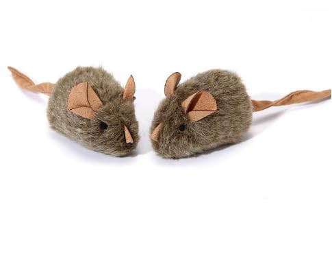 2pc Cat Training Aid & Behavior Tool with Electronic Mouse