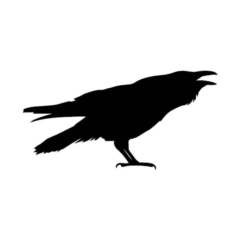 Animal Crow Bird Car Sticker Automobiles Motorcycles Exterior Accessories Vinyl Decals(Black,20cm X 10cm)