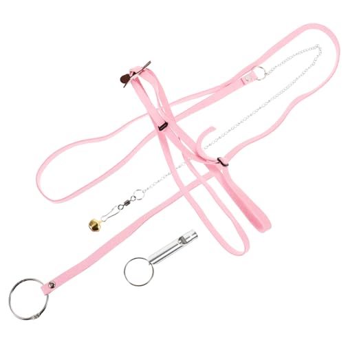 Toddmomy Reptile Pet Harness Leash Tortoise Walking Leash Pet Supplies Random Color