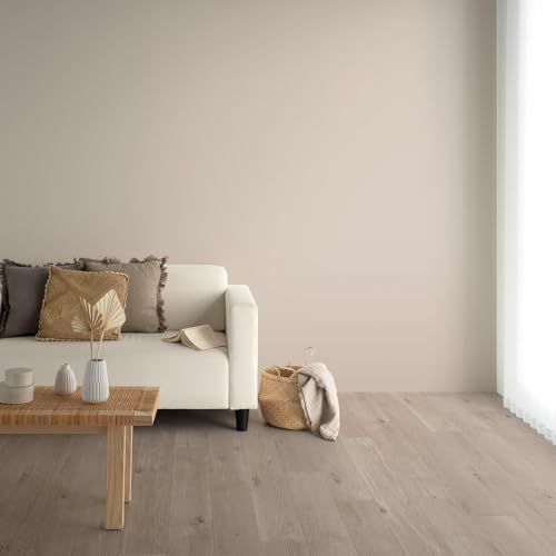 ǎ{ ̂t ǎ c̏ NX n Y25-2927 R[Xg[ O[W 92cm×mPʁy󒍐YiLZsz