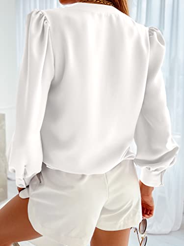 Women's Business Casual Tops Summer Long Sleeve Silk Button Down Shirts V Neck Chiffon Blouses…