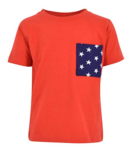 Image of Boys 2pc Shorts Set Outfit Short Sleeve Shirt with Classic Applique Print and Shorts