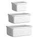 HEMOTON 3 Piezas de Plástico Deli Contenedores a Prueba de Fugas Contenedores de Almacenamiento de Alimentos Caja del Refrigerador con Tapas para La Preparación de Comida de Sopa de Limo
