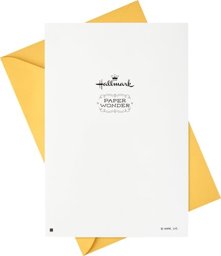 Hallmark Paper Wonder Pop Up Birthday Card (Someone to Celebrate)