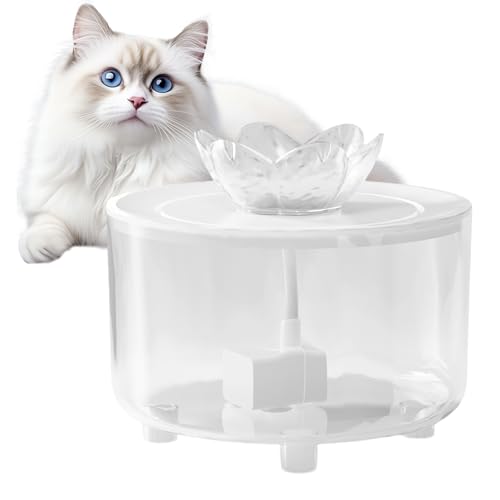 Vgvgaj ybgpEH[^[t@Ee | d USB vOC ~,LpEH[^[t@Ee,^^^Lp Q oRj[ K[W 