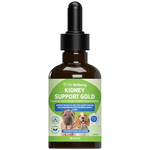 Best Dog Food For Protein In Urine