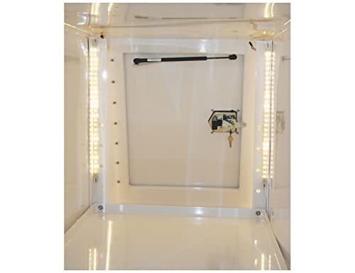 View 4