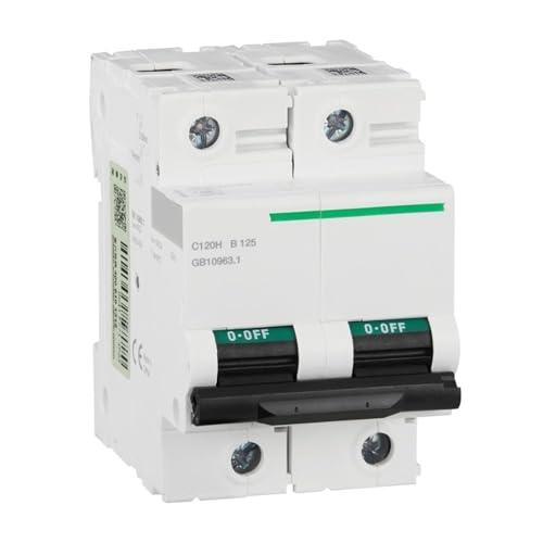 Disjoncteur miniature 2P 125A 400VAC C120H commutation air A9N19560