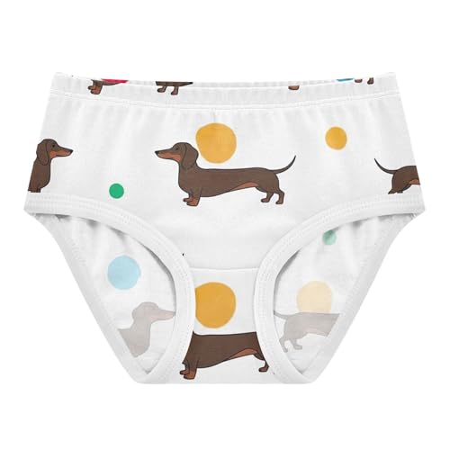 Brown Dachshund Dogs Spots White Panties for Girl Toddlers Underwear Floral Cotton Fun Print Briefs Kids Undies 2t