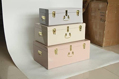 Allan & Coods - Decorative Metal Trunk Set Of 3 - Vintage Style Storage With Rose Gold Handles & Locks - Space Saving Organizer Home Dorm & Office Use (Multi) #TOP2