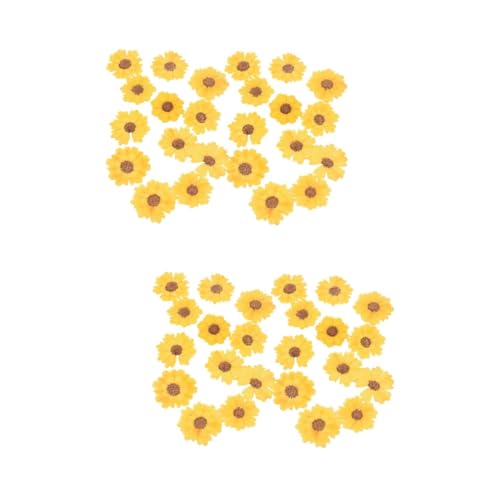 Flores de Margarita Secas Reales para Manualidades Pack 48 miniatura 1