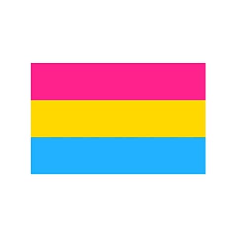 Pansexual gay pride 5ft x 3ft Flag Cover