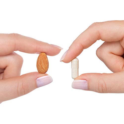 Optimal Multivitamin With Iron | Includes 45 Mg Of Gentle, Chelated Iron | Contains Active Forms Of B Vitamins Plus L-5-Mthf | 120 Vegetarian Capsules | Free Of Magnesium Stearate | Seeking Health #TOP3