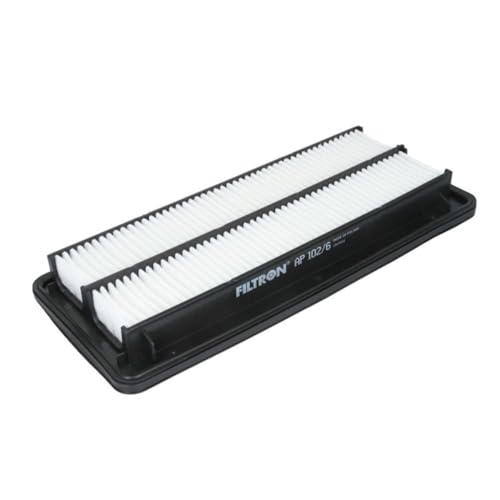 Filtron Filtre Ă air AP102/6