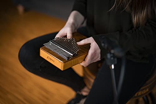 Ortega Kalimba Pouce Piano acoustique – Série Lizard – 17 Touches – Méditation, LoFi – Etui Deluxe, Sacoche, Marteau d… - Les Beatles, Paul McCartney, John Lennon, RIngo Starr, George Harrison Ortega Kalimba Pouce Piano acoustique - Série Lizard - 17 Touches - Méditation, LoFi - Etui Deluxe, Sacoche, Marteau d… – Image 7