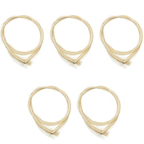 4/4 �o�C�I�����|�w�A�A�N�Z�T���[(1/2)