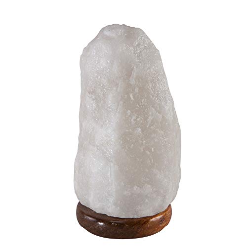 yq}≖Xzi`≖v5-7kg izCgj Ɩ dCX^h u  ԐڏƖ Ɩ  VR e[uv X^hCg Q rO ڂɗD