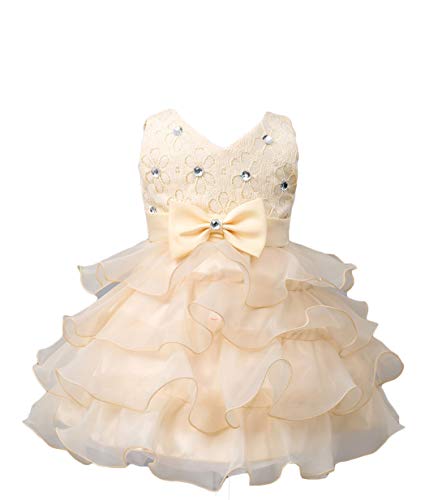 Layered Dresses for Juniors Girl Dress Baby Kids Newborn Christening Flower Lace Party Birthday Wedding Infant Ruffles Tulle Tutu Ball Gown Size 6-12 Months Bridal Special Occasion Tops (Cham 02 M)