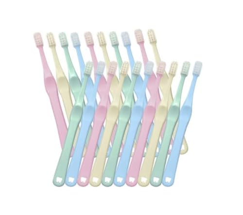 Ci shuwa shuwaiVVjuV 20{ Ȑꔄi (M(ӂ))