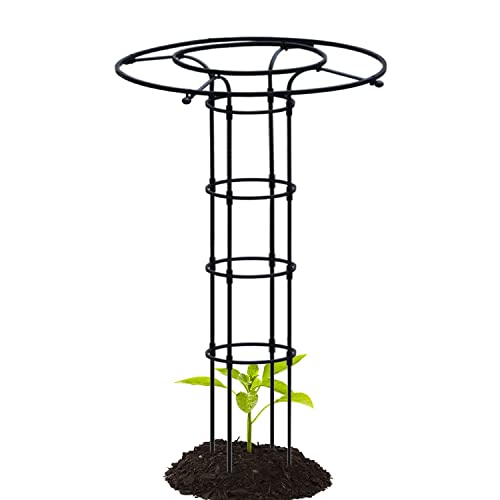 Paraplu Obelisk Tuin Trellis voor Klim Plant, 90cm 120cm 150cm 180cm 210cm Metalen Pot Plant Klimmen Ondersteuning voor Indoor Outdoor Bloemen Groente (Zwart) (Size : 210cm/6.9ft