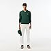 Lacoste Men's Monochrome Cotton V-Neck Sweater, Sinople, X-Large