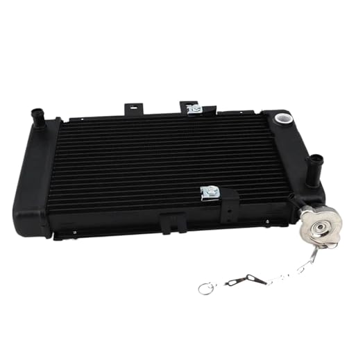 WG^[ ANZT[,N[[ 150cc 200cc 250cc UTVNbhoCNoM[p[cATVGWN[[EH[^[^NWG[^[EH[^[N[[ɓK(Without thermostat)