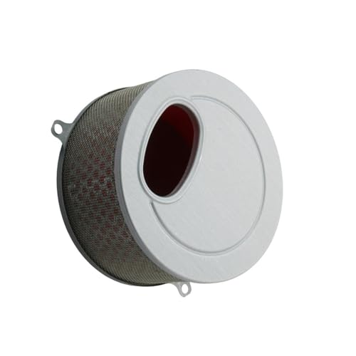 Filtre à air pour Daelim VL125 pour stopper la perte de puissance du moteur Daystar