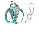 Pettorina for cani con clip anteriore e posteriore, regolabile, imbottita, con guinzaglio for animali domestici, pettorina for cani e fondina for guinzaglio, pettorina leggera for addestramento o pass