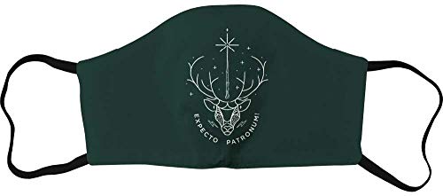 Harry Potter Unisex Achapomms001_a Mask, Green, 1 Unit (Set of 1), Green, 1 stück (1er Pack)