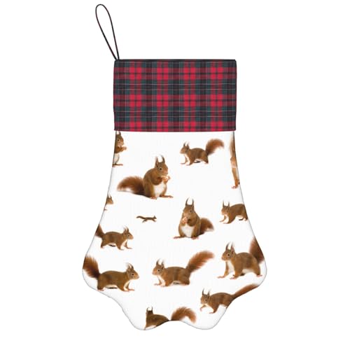 OKFSTY Niedlicher Eichhörnchen-Weihnachtsstrumpf mit Pfotenabdrücken, niedliches Haustier-Hängestrümpfe, Weihnachtsdekoration, Geschenk für Familie